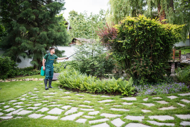 Best Ant Control Services  in Garwood, NJ