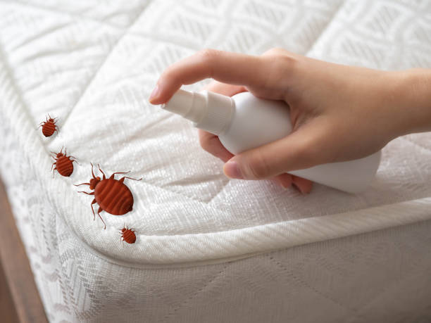 Best Emergency Pest Control  in Garwood, NJ